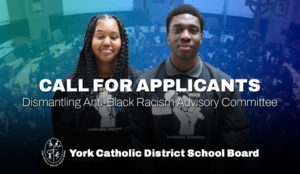 Dismantling Anti-Black Racism Advisory Committee Invites all Applicants Interested in Joining  the Advisory Committee to contact  The Office of the Human Rights & Equity Advisor  by the end of January 2025.